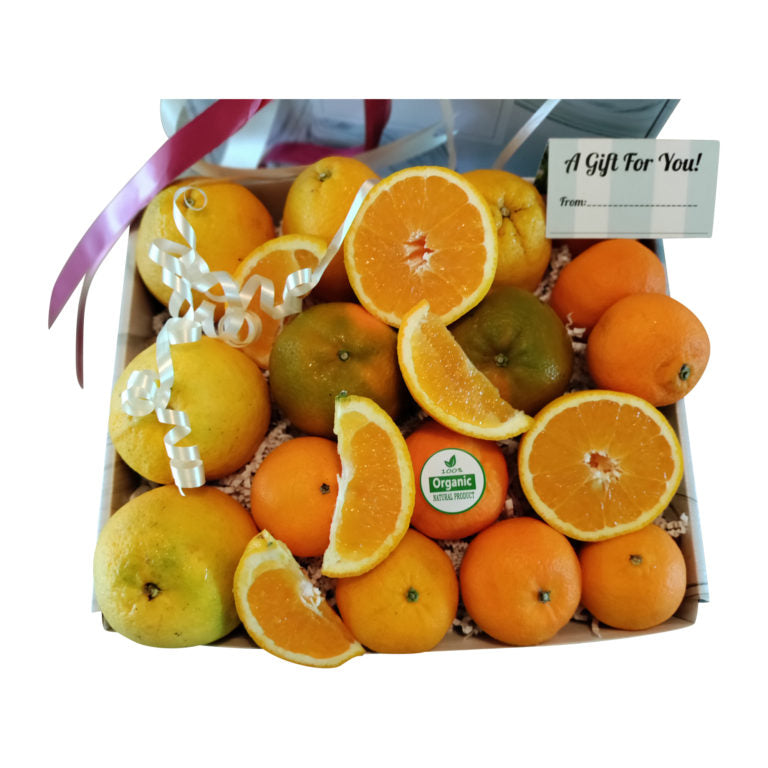 Fresh organic oranges and mandarins in citrus gift box
