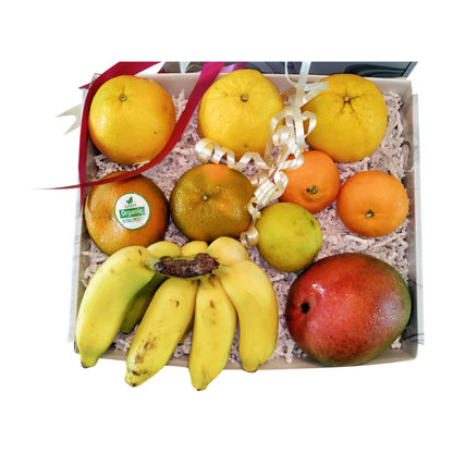 Fresh organic tropical fruits in large gift box