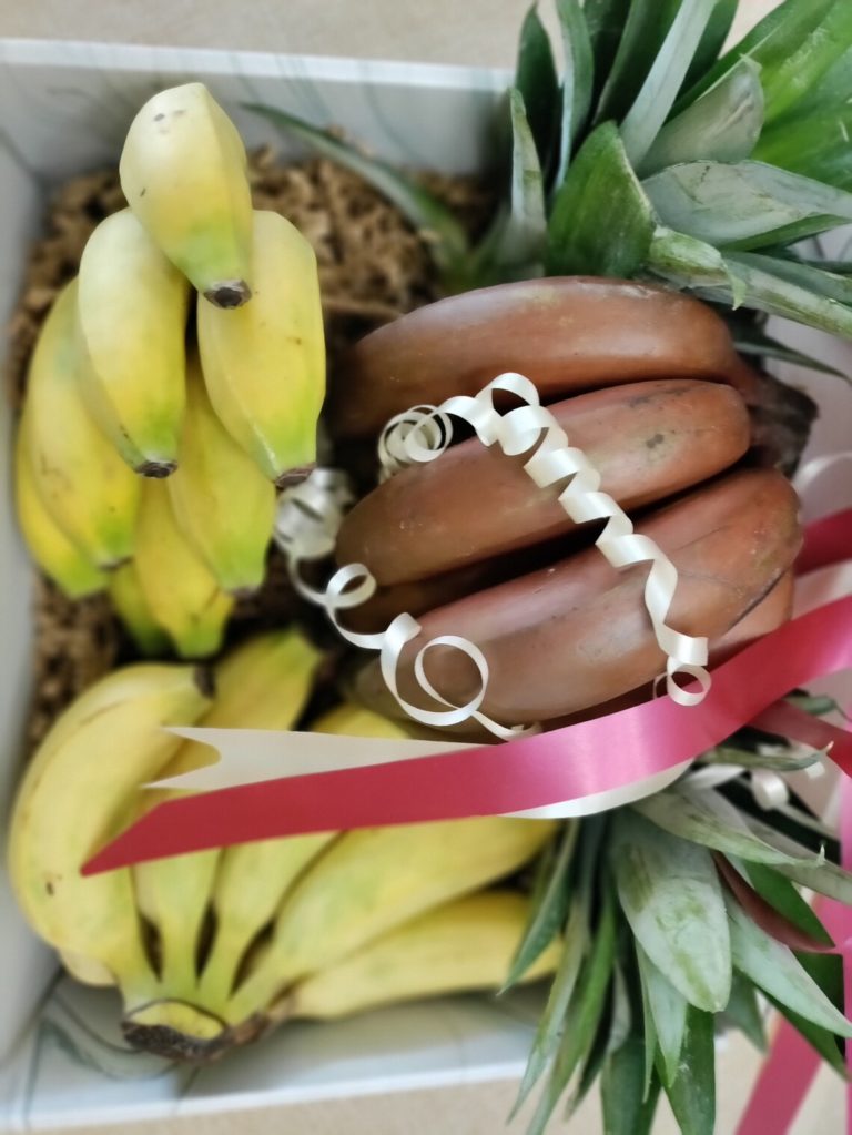 Assorted organic banana varieties from South Florida