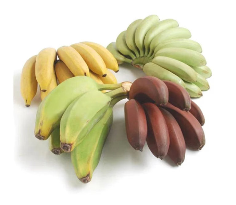 Rare red organic bananas in banana gift box
